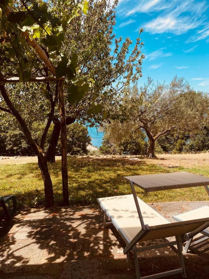 Holiday home Sul Lago-3 3 Bagni Beltramonto Montefiascone